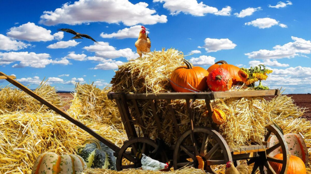 Carretto, paglia e animali &copy; Immagine di Pixabay