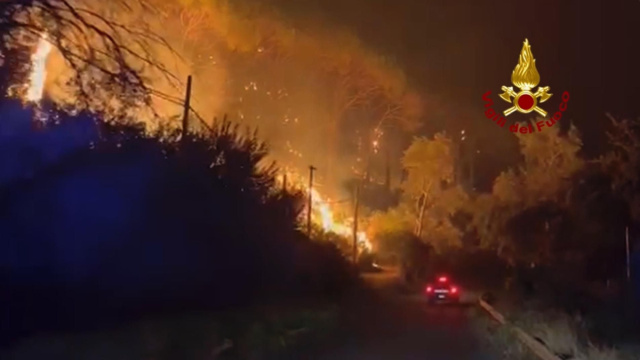 INCENDI DI VEGETAZIONE IN SICILIA, 300 VIGILI DEL FUOCO IMPEGNATI ... &copy; Creative Commons