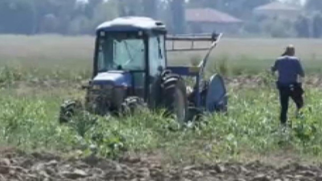 Incidente sul lavoro, 41enne muore in un campo a XII Morelli &copy; Creative Commons