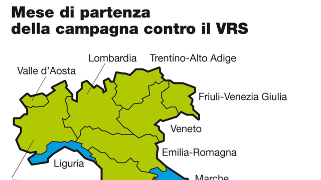 Virus Respiratorio Sinciziale: strategia di prevenzione universale ... &copy; Creative Commons