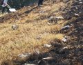 Incendio Lucoli/Roio: svolta con il ritrovamento di un innesco