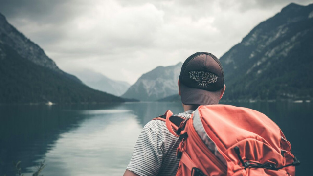 Foto di Philipp K&auml;mmerer su Unsplash (https://urly.it/31gbn9)
