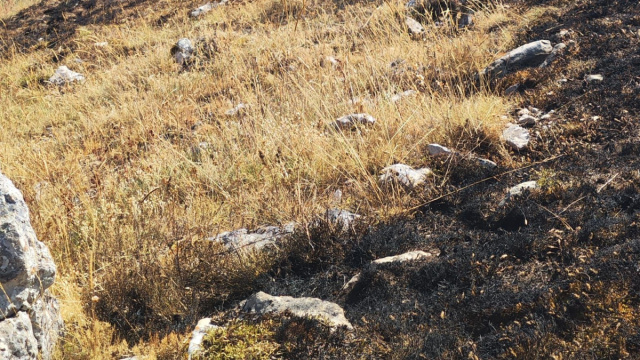 Incendio Lucoli-Roio: svolta nelle indagini, trovato un innesco a ... &copy; Creative Commons