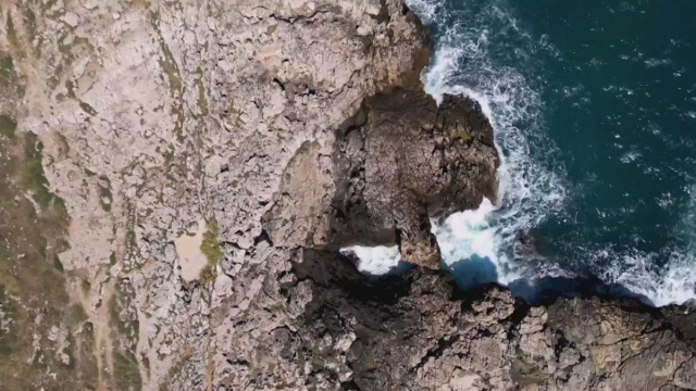 L'invasione delle alghe tossiche - screenshot da Video Mediaset ... &copy; Creative Commons