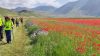 Castelluccio di Norcia rinasce con maxi progetto antisismico