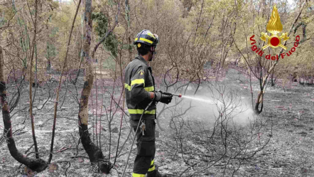 &Egrave; finita l'emergenza: spenti i maxi incendi di Monrupino e Claut ... &copy; Creative Commons