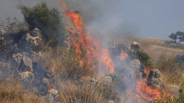 &Egrave; l'estate degli incendi: +133% di casi in Italia &copy; Creative Commons