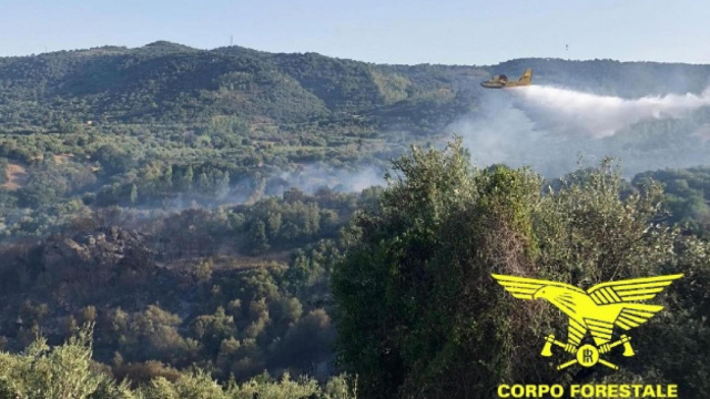 Incendio tra Burcei e Sinnai, due Canadair in volo &copy; Creative Commons