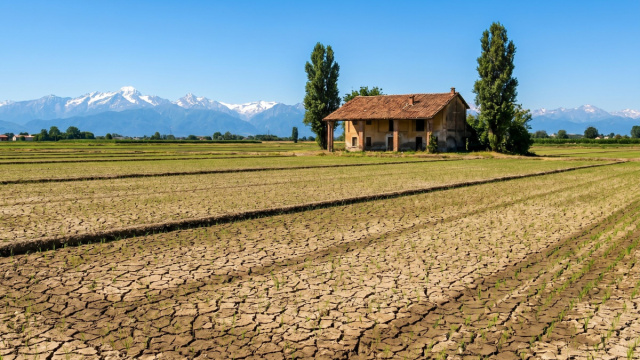 Crisi agricola senza precedenti in Italia: siccit&agrave; estrema e caldo ... &copy; Creative Commons