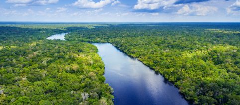 Amazzonia brasiliana: deforestazione ai minimi da dieci anni