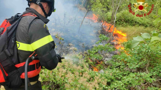 Monrupino brucia ancora: nuovo incendio nella stessa zona del maxi ... &copy; Creative Commons