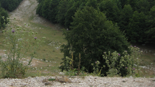 Monte Livata - Wikipedia &copy; Creative Commons