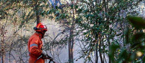 Bonifica e monitoraggio in corso dopo gli incendi a Firenzuola e Viareggio
