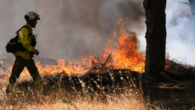 Almeno 365 persone evacuate per un incendio in Andalusia &copy; Creative Commons