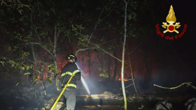 Carso in fiamme, case e casa di riposo a rischio: pronti all ... &copy; Creative Commons