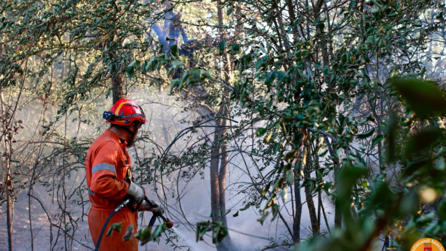 Incendi di Firenzuola e Torre del lago, in corso attivit&agrave; di ... &copy; Creative Commons