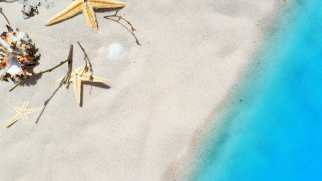 Spiaggia con delle stelle e conchiglie (&copy;pixabay.com)