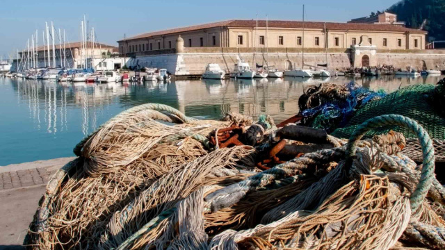 Citt&agrave; Marine - Gite in Barca e Divertimento - Porto di Numana ... &copy; Creative Commons