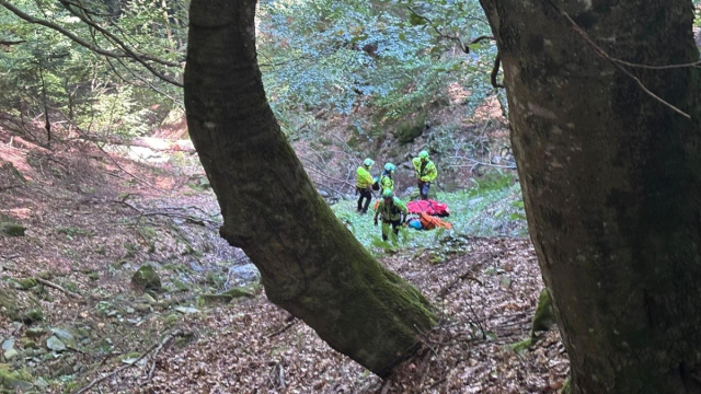 Druogno, grave il cercatore di funghi precipitato a 1200 metri di ... &copy; Creative Commons