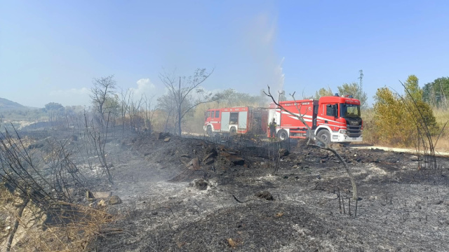 Incendi nel Teramano, 16 ettari in fumo a Castilenti: evacuato un ... &copy; Creative Commons