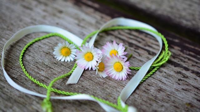 Nastrino a forma di cuore e delle margherite (&copy;pixabay.com)