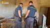 Scoperta centrale della marijuana a Forgaria: 23 kg e due serre sequestrate