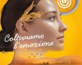 Ismea: 75% del riso assicurato per 740 milioni, record tra le colture