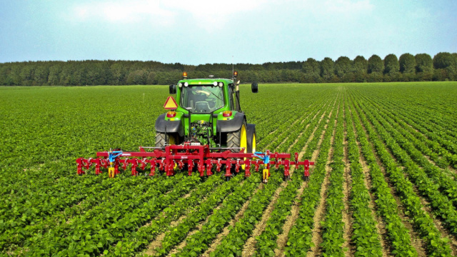 Agricoltura, dal Pnrr in arrivo 5,5 mln di euro per ammodernare ... &copy; Creative Commons
