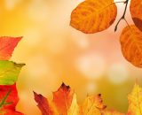 Foglie autunno &copy; Immagine di Pixabay
