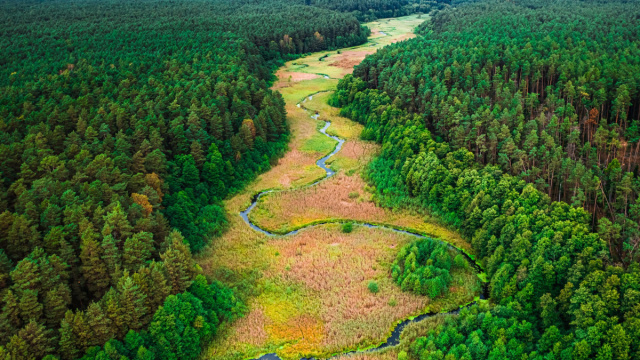 Biodiversit&agrave; ed economia sostenibile: un'alleanza necessaria tra ... &copy; Creative Commons