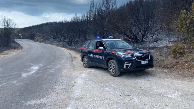 Gargano, arrestato un volontario antincendio: &egrave; accusato di aver ... &copy; Creative Commons