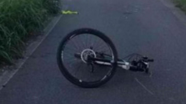 Verona, morto il ciclista colpito da un cinghiale: si cerca un ... &copy; Creative Commons