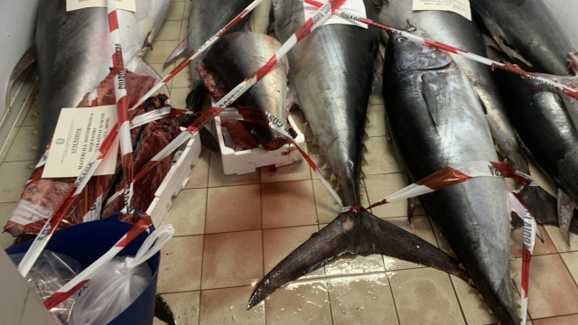 A Sant'Antioco la Guardia costiera ha sequestrato 1.230 kg di ... &copy; Creative Commons