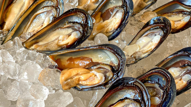 Cozze: tipi, come pulirle, propriet&agrave; e idee per cucinarle &copy; Creative Commons