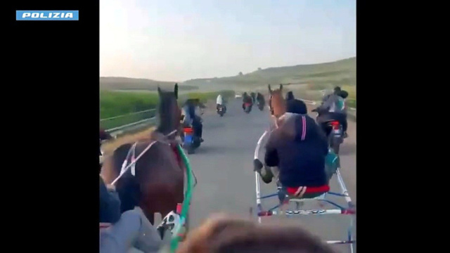 Il video della corsa clandestina di cavalli a Palagonia, la ... &copy; Creative Commons