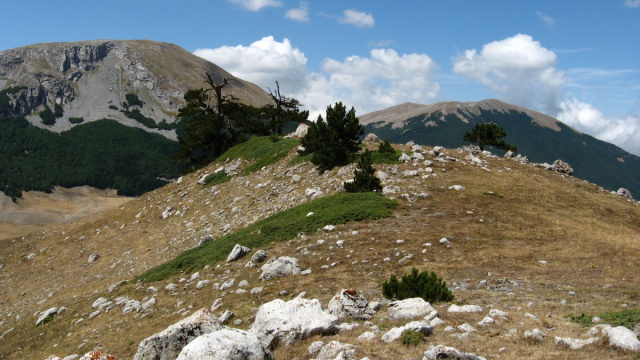 Parco nazionale del Pollino - Wikipedia &copy; Creative Commons