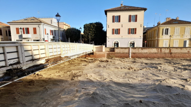 Senigallia, a due mesi dall'alluvione l'ambiente &egrave; sempre pi&ugrave; al ... &copy; Creative Commons