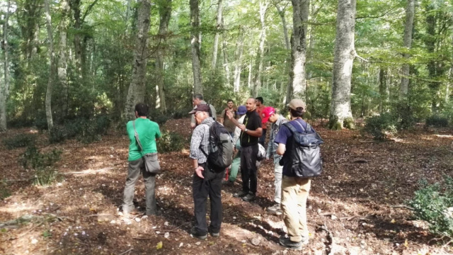 Studiosi dal mondo nelle faggete UNESCO della Foresta Umbra &ndash; Ente ... &copy; Creative Commons