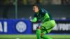 Juve e MIlan a duello per Palmisani, l'Inter segue Robinson, la Premier torna su Malen