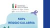 Dna sul caso Revolut: truffa con account della prefettura di Reggio Calabria