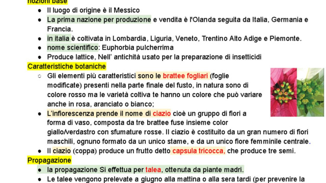 Floricoltura e Tappeti Erbosi: Appunti Completi per Esame - Studocu &copy; Creative Commons