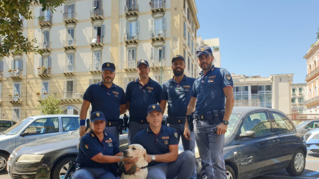 NAPOLI: LA POLIZIA DI STATO SALVA UN LABRADOR ABBANDONATO IN ... &copy; Creative Commons