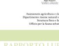 Allison chiude l'ex Dana nel Cuneese: 180 lavoratori a rischio trasferimento