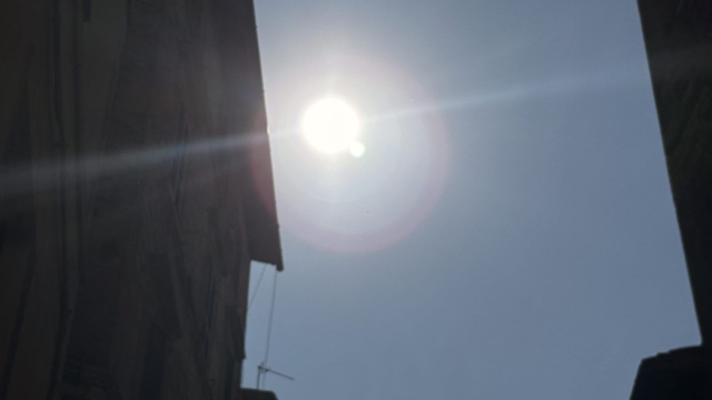 Come combattere il super caldo in Umbria: alberi nelle citt&agrave; e ... &copy; Creative Commons