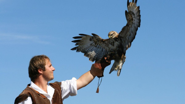 Nell&rsquo;Oltrep&ograve; Pavese &egrave; possibile avvicinarsi al mondo della falconeria e conoscere da vicino gufi, falchi e poiane.