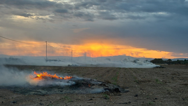 Foggia, emergenza roghi e discariche abusive: l'allarme del Wwf &copy; Creative Commons
