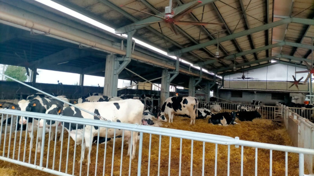 Giovani, dati e sostenibilit&agrave;: l'evoluzione di Canobbio Farm ... &copy; Creative Commons