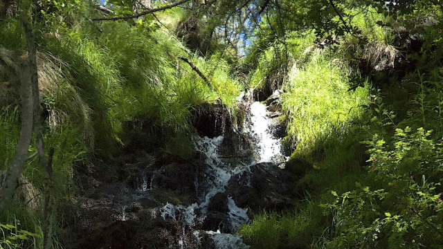 La risorsa idrica tra cambiamento climatico e governance: sfide e ... &copy; Creative Commons