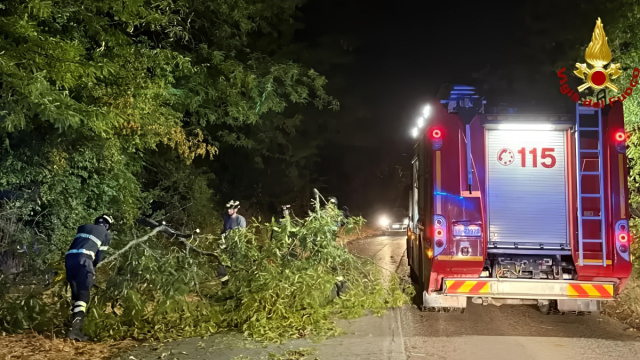 Maltempo nelle Marche, 160 interventi dei vigili del fuoco. L ... &copy; Creative Commons