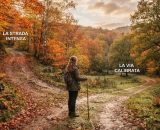 Donna al bivio in un bosco in autunno- &copy; Gemini Ai
